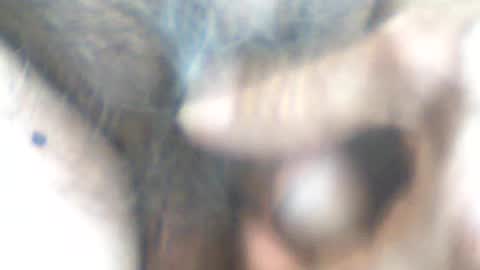 Snapshot of castells chatting on June 2026 04:31:01 PM castells online show from June 2026 04:31:01 PM