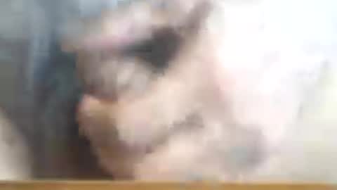 Snapshot of castells chatting on June 2026 03:25:02 PM castells online show from June 2026 03:25:02 PM