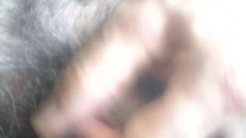Snapshot of castells chatting on June 2026 02:38:01 PM castells online show from June 2026 02:38:01 PM