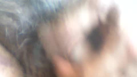 Snapshot of castells chatting on June 2026 03:49:02 PM castells online show from June 2026 03:49:02 PM