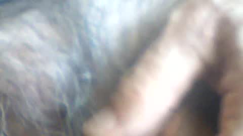 Snapshot of castells chatting on July 2026 02:56:02 PM castells online show from July 2026 02:56:02 PM