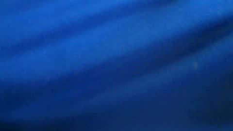 Snapshot of castells chatting on July 2026 04:13:01 PM castells online show from July 2026 04:13:01 PM