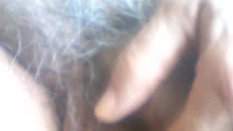 Snapshot of castells chatting on July 2026 02:43:02 PM castells online show from July 2026 02:43:02 PM