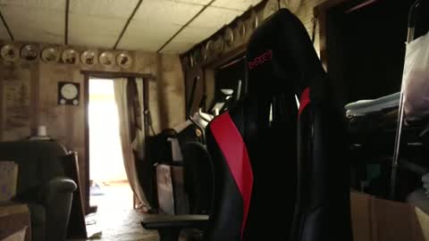 cat online show from October 2025 04:25:02 PM