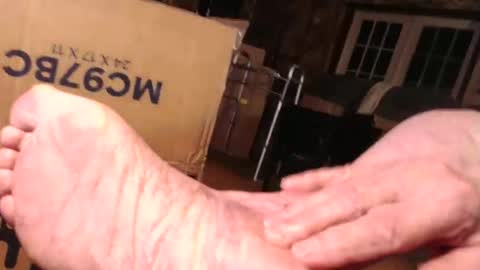 cat online show from October 2025 07:27:02 PM