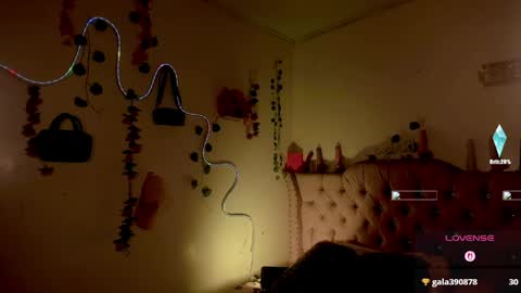 cata__mw online show from April 2026 07:04:01 PM