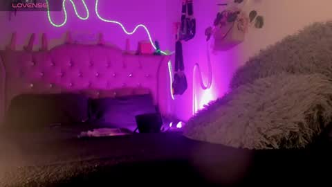 cata__mw online show from June 2026 07:29:01 PM