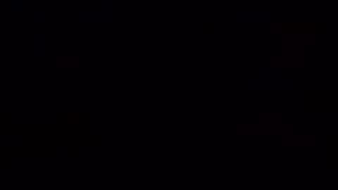 catfun3 online show from November 2025 11:54:01 AM