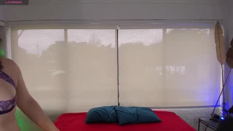 Catleya  online show from November 2025 08:33:02 PM