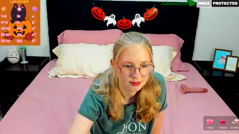 CatmintLush online show from October 2025 11:49:02 PM