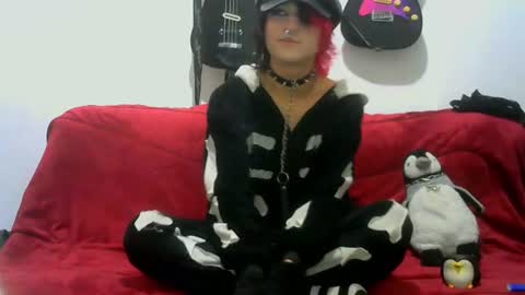 Cat online show from June 2026 11:43:01 PM