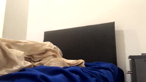 catpixel online show from October 2025 01:18:01 PM