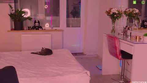 Snapshot of catromance chatting on November 2025 08:40:01 PM Katerina online show from November 2025 08:40:01 PM