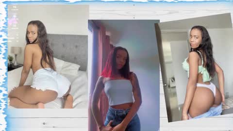 catta cat18 online show from December 2024 10:03:01 PM