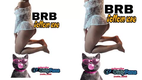 catta cat18 online show from February 2025 11:04:01 PM