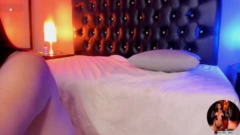 Snapshot of catty_foxx chatting on February 2025 08:31:02 PM online show from February 2025 08:31:02 PM