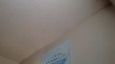 Snapshot of caydel2333 chatting on July 2026 02:13:01 PM caydel2333 online show from July 2026 02:13:01 PM