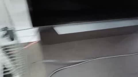 cbg65 online show from February 2026 10:47:01 PM
