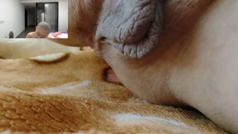 ANNYANNY online show from June 2026 04:06:01 PM