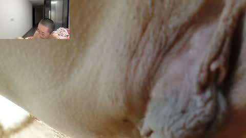 ANNYANNY online show from June 2026 02:54:01 PM