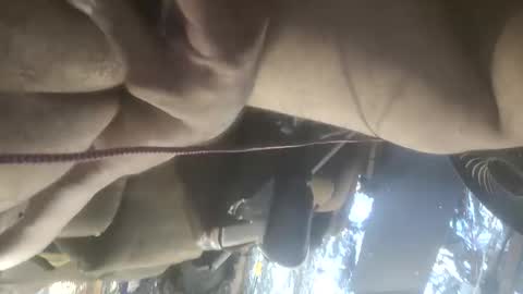cchurricane3613 online show from May 2026 01:24:01 AM