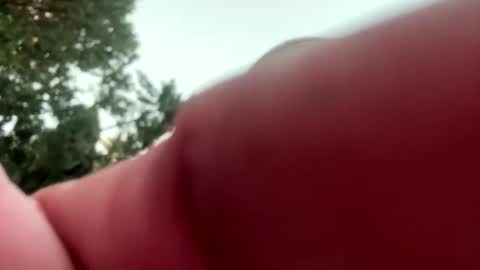 ccs13200 online show from January 2026 03:49:01 PM