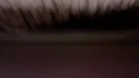 Snapshot of cenobitfor chatting on March 2026 11:28:02 AM cenobitfor online show from March 2026 11:28:02 AM