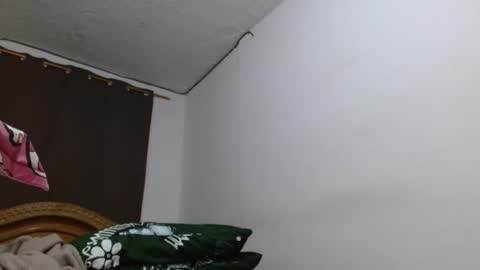 Snapshot of cesar_master_ chatting on October 2025 07:27:01 PM cesar_master_ online show from October 2025 07:27:01 PM