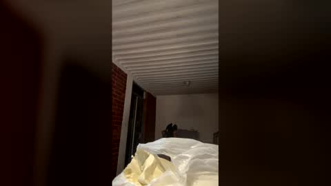    online show from January 2026 01:31:01 AM