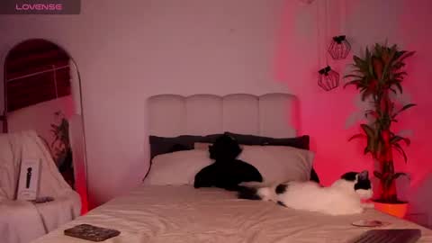 charlotteinpool online show from June 2026 05:05:02 AM