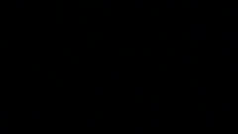 NY Daddy online show from October 2025 01:06:01 AM