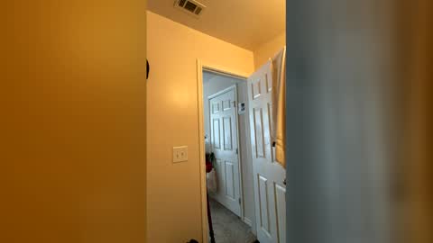 Snapshot of chase2attract chatting on March 2026 06:03:01 PM Chase2Attract online show from March 2026 06:03:01 PM