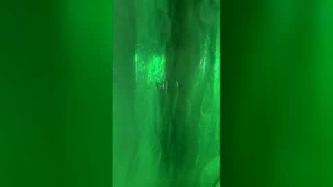 Snapshot of chase2attract chatting on March 2026 02:44:01 PM Chase2Attract online show from March 2026 02:44:01 PM