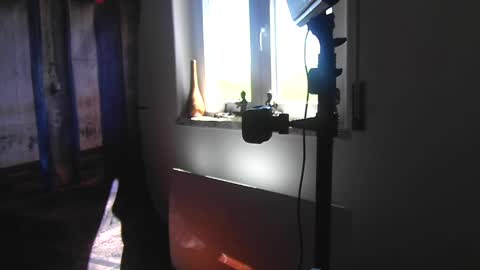 ChatToManlyGuy online show from June 2026 10:32:02 AM