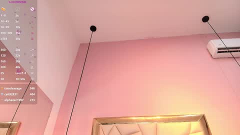 Snapshot of cheerryblossom_ chatting on March 2025 05:01:01 PM Cherry online show from March 2025 05:01:01 PM