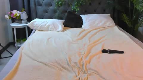 Snapshot of cheezy_cream chatting on December 2025 04:44:02 AM cheezy_cream online show from December 2025 04:44:02 AM