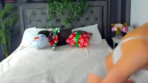 Snapshot of cheezy_cream chatting on December 2025 06:45:02 PM cheezy_cream online show from December 2025 06:45:02 PM