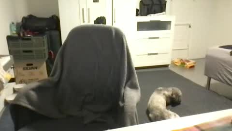 Snapshot of cheftoti chatting on February 2025 07:05:02 PM cheftoti online show from February 2025 07:05:02 PM