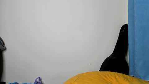 cherry_falls online show from July 2026 10:29:02 PM