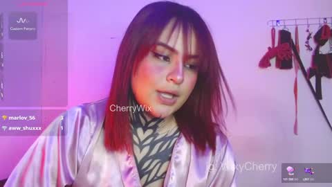 Snapshot of cherrywix chatting on January 2025 02:25:02 AM cherrywix online show from January 2025 02:25:02 AM