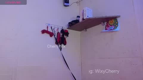 Snapshot of cherrywix chatting on February 2025 02:07:02 AM cherrywix online show from February 2025 02:07:02 AM