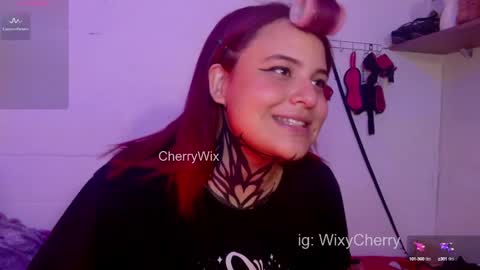 Snapshot of cherrywix chatting on March 2025 09:48:02 PM cherrywix online show from March 2025 09:48:02 PM