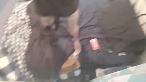 Snapshot of chev1981 chatting on October 2025 11:21:02 AM Chevy online show from October 2025 11:21:02 AM