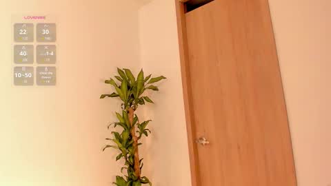    Schedule 7am to 2pm Col online show from February 2026 12:19:01 PM