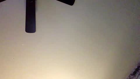 Snapshot of chippytits65 chatting on February 2025 04:33:01 AM chippytits65 online show from February 2025 04:33:01 AM