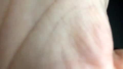 Snapshot of chippytits65 chatting on February 2025 05:54:02 AM chippytits65 online show from February 2025 05:54:02 AM