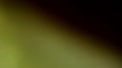 Snapshot of chloee_thompson chatting on September 2025 02:56:02 AM ChloeeThompson online show from September 2025 02:56:02 AM