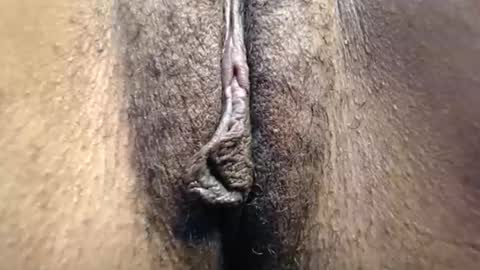 Cutie online show from May 2026 08:20:01 AM