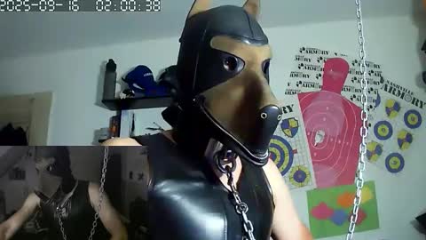 Snapshot of chrisdan_ chatting on September 2025 12:00:02 AM chrisdan_ online show from September 2025 12:00:02 AM