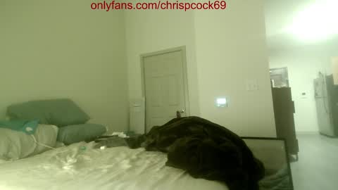 Snapshot of chrispcock69 chatting on November 2025 04:01:02 AM Mystery Man online show from November 2025 04:01:02 AM